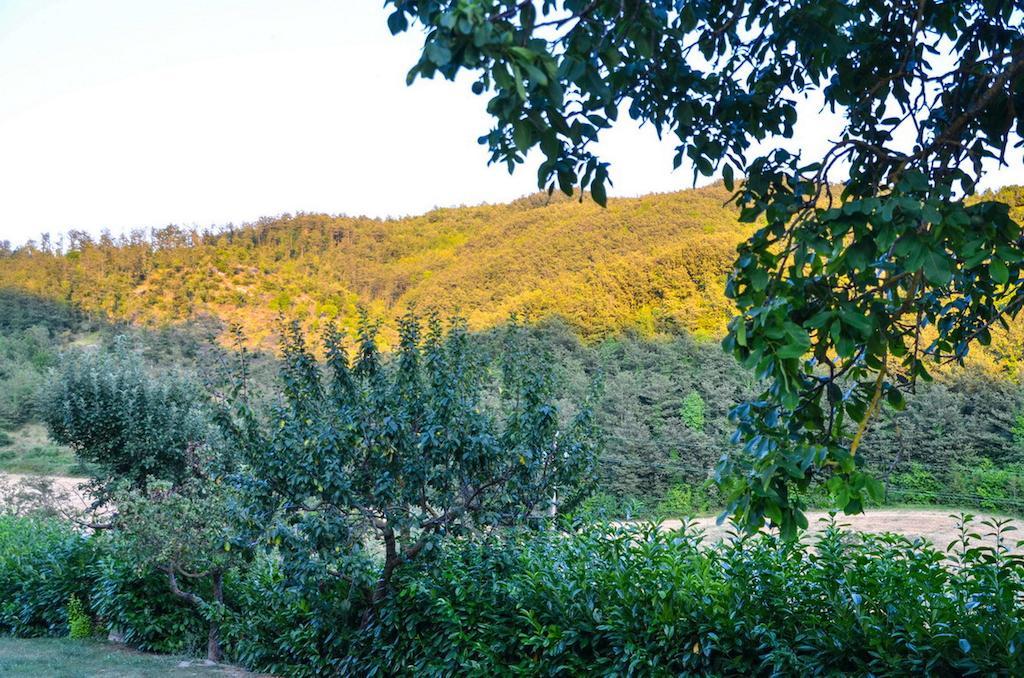 Agriturismo Cailuca Pietralunga  Exterior photo